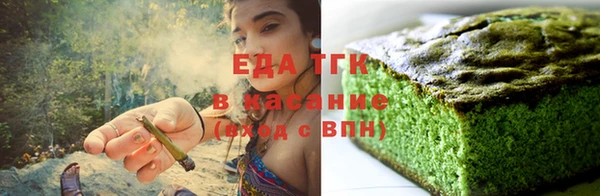 амф Снежногорск